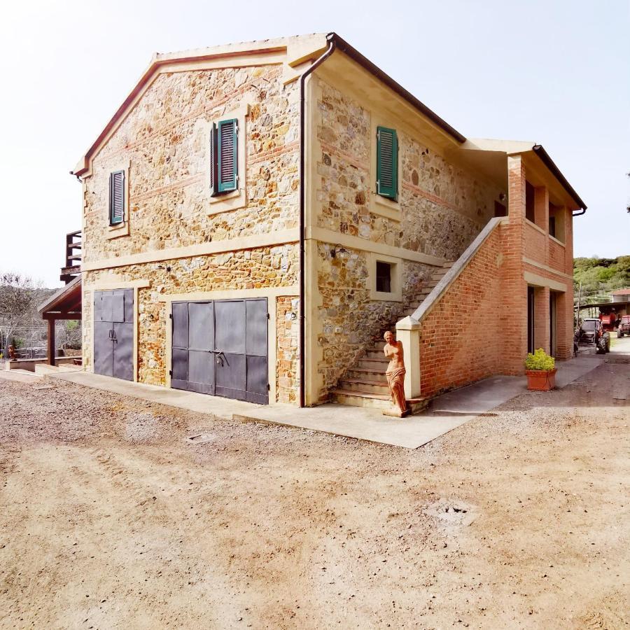 Fattoria Tolomei Campagnatico Ngoại thất bức ảnh