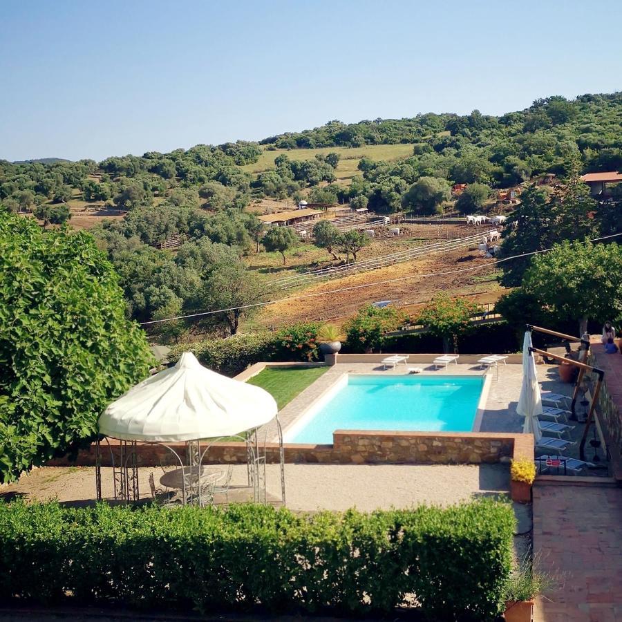 Fattoria Tolomei Campagnatico Ngoại thất bức ảnh