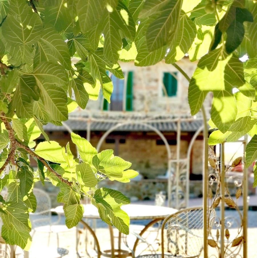 Fattoria Tolomei Campagnatico Ngoại thất bức ảnh