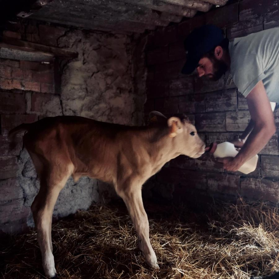 Fattoria Tolomei Campagnatico Ngoại thất bức ảnh