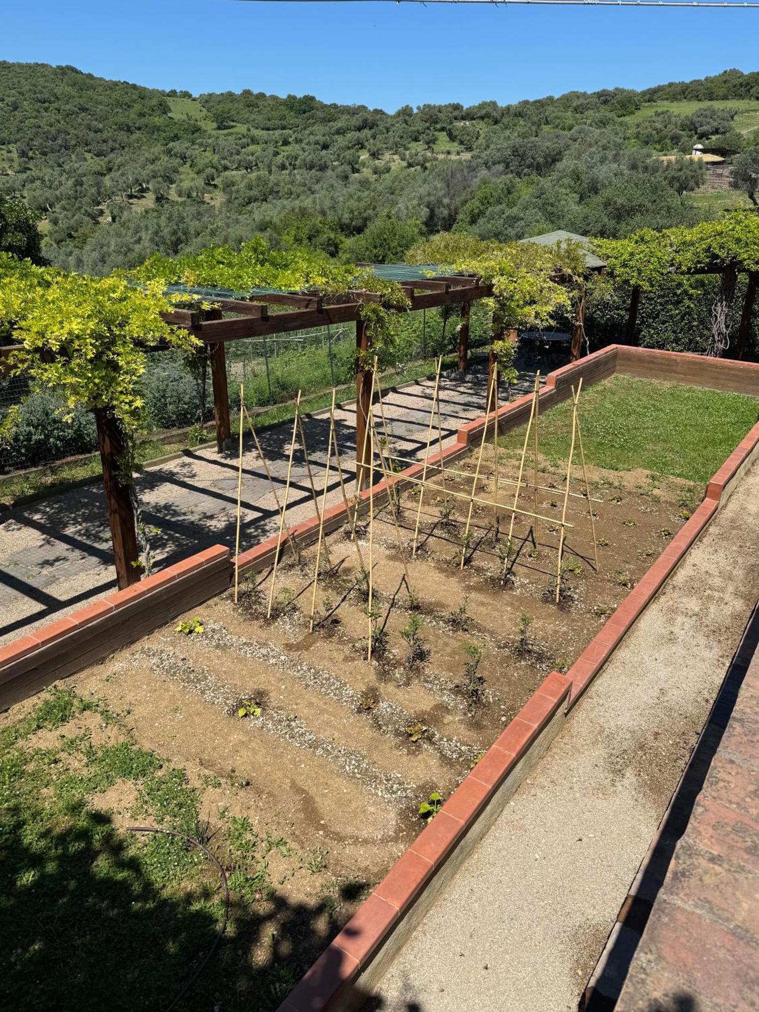 Fattoria Tolomei Campagnatico Ngoại thất bức ảnh